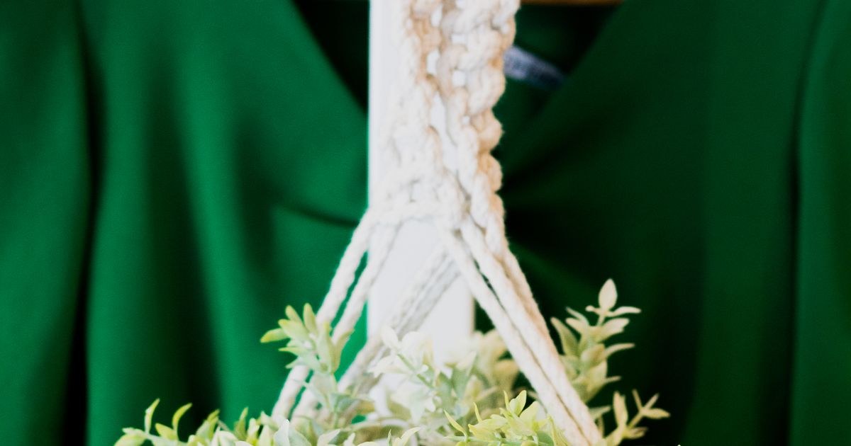 Close-up of a leafy green plant in a clay pot hanging in front of a green dress on a hanger, indoors.